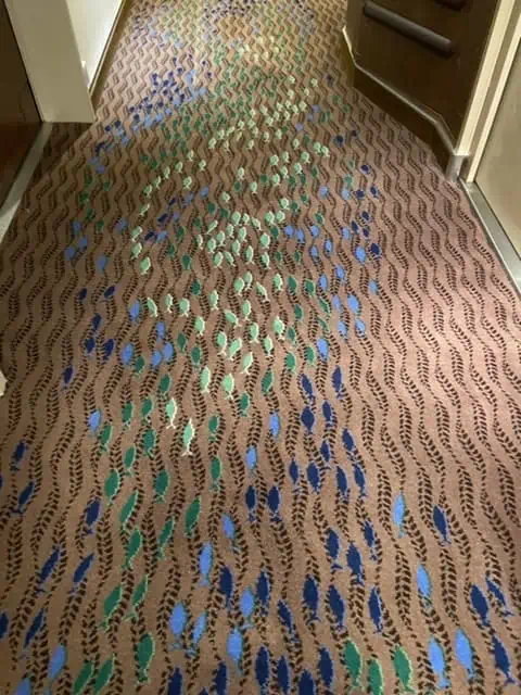 fish carpet norwegian epic