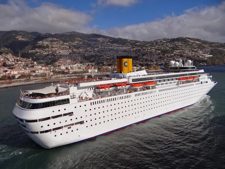 Jimmy Buffett's Margaritaville Cruise Ship What You Need to Know