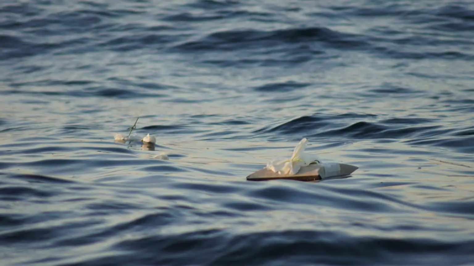 Scattering Ashes at Sea What You Need to Know