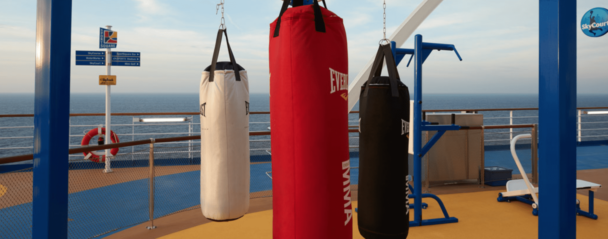 skyfitness carnival cruise line sportsquare