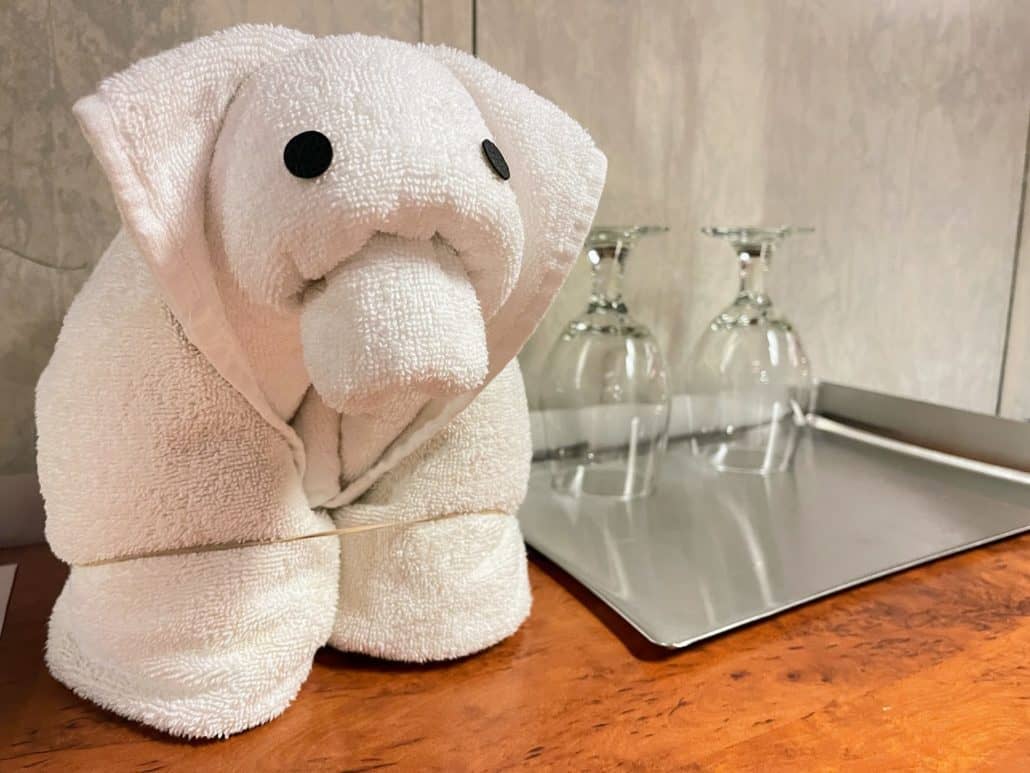 glasses elephant towel