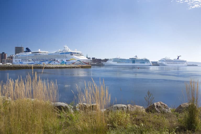 norwegian dawn carnival glory jewel of the seas multiple ships