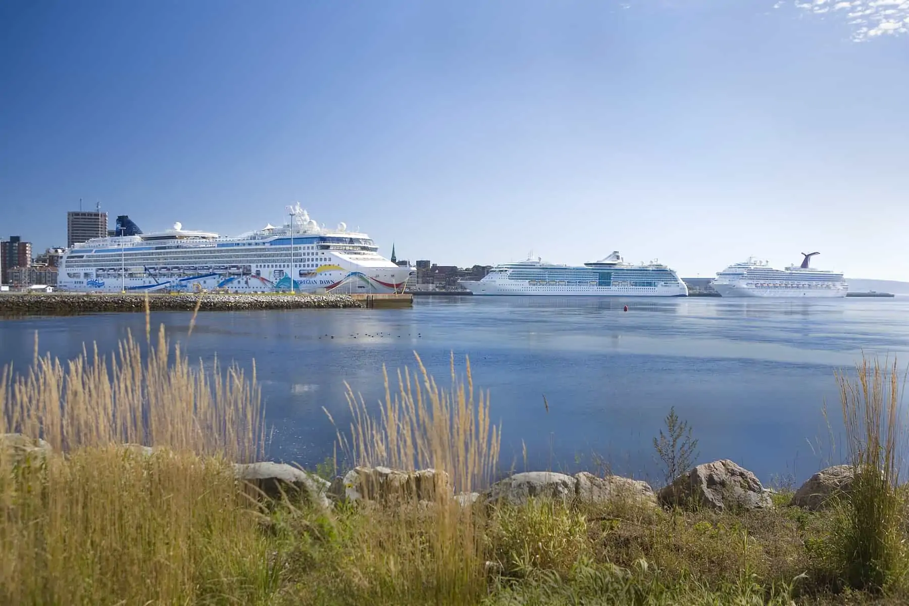 norwegian dawn carnival glory jewel of the seas multiple ships