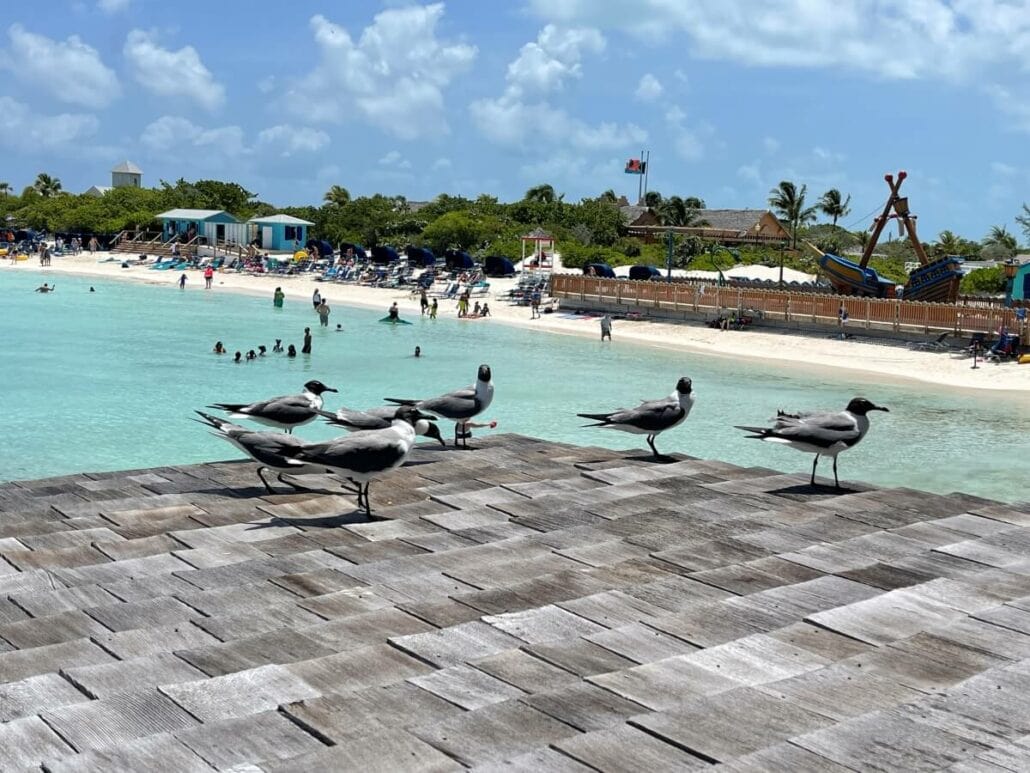 26 Best Things to Do in Half Moon Cay