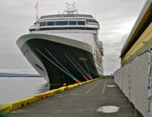 holland america volendam