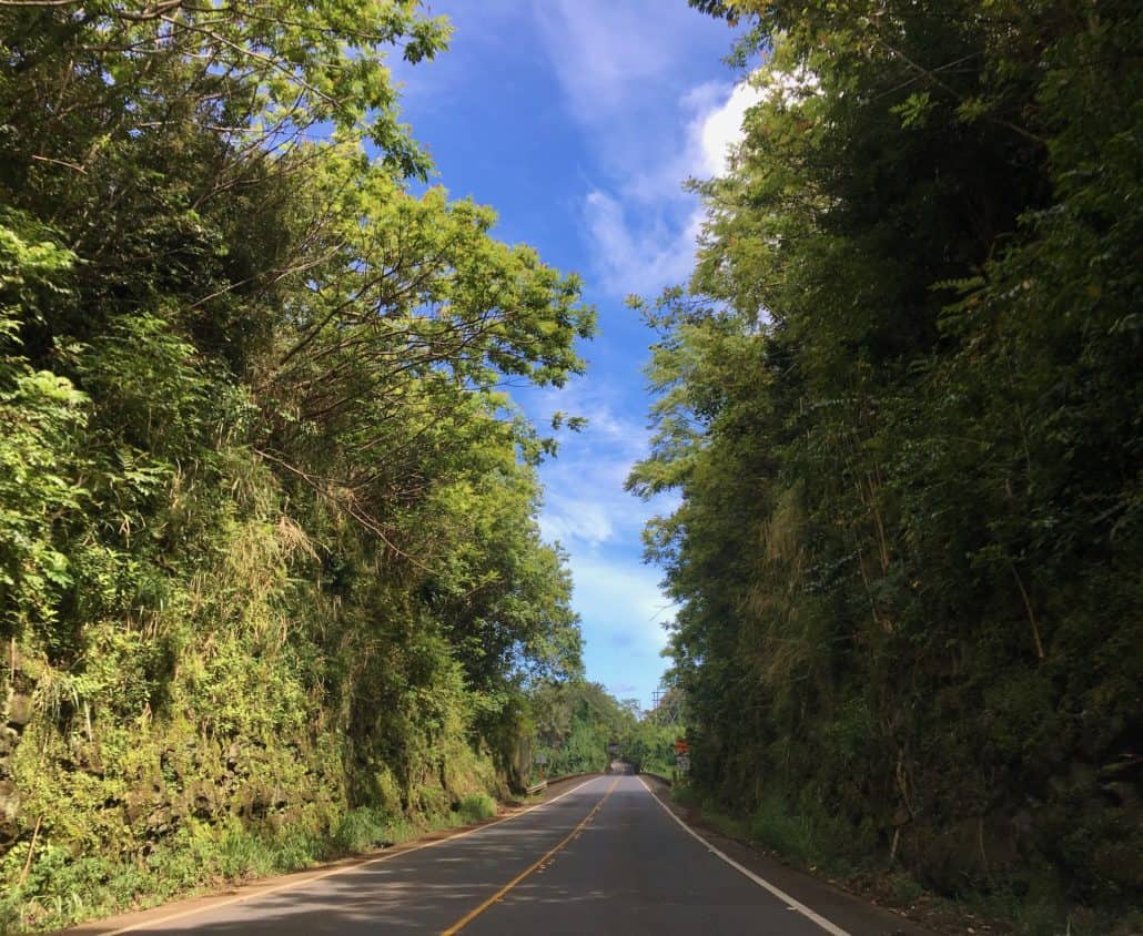 View of Hawai'i Belt Road