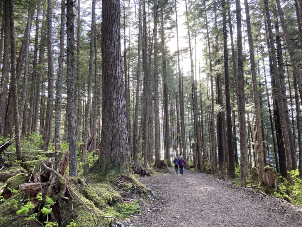 walking trail through the forest juneau alaska