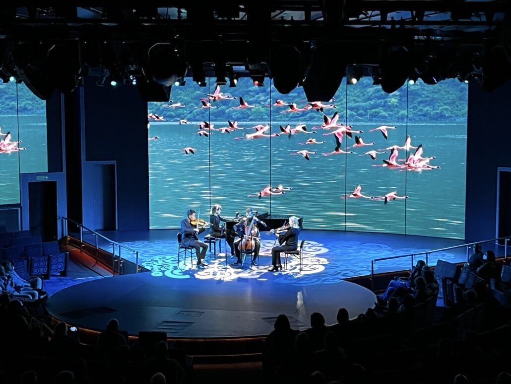 A string quartet aboard the MS Rotterdam performs on a round stage with a large screen backdrop displaying flying flamingos over a body of water. The dimly lit auditorium has an audience seated around the stage, creating an intimate and captivating experience at sea.