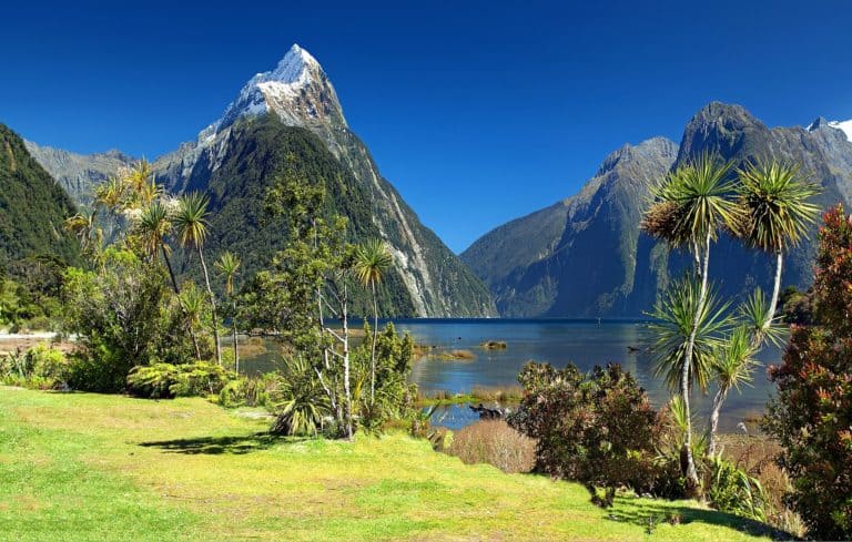 milford sound new zealand