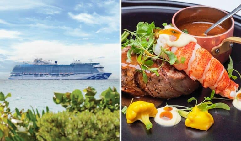 enchanted princess dining changes