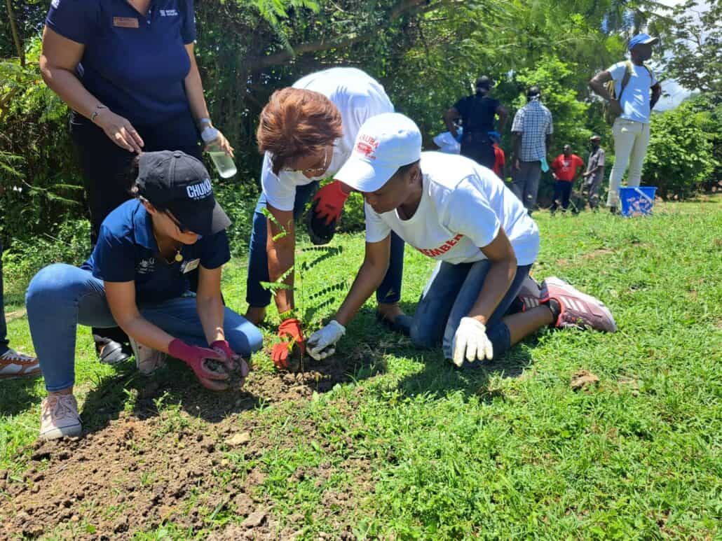 carnival crew members work in garden jamaica