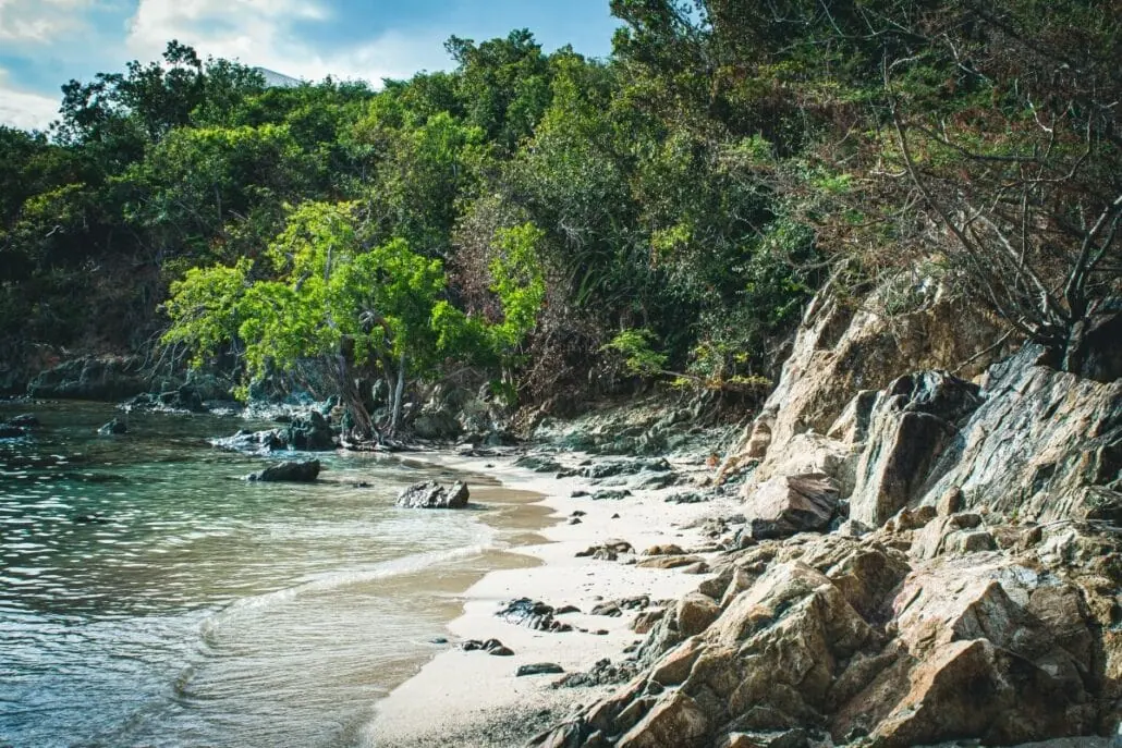A rocky beach shoreline with sandy patches and greenery, reminiscent of the stunning beaches in St. Thomas. Trees and bushes grow along the edge, some extending toward the water under a partly cloudy sky.