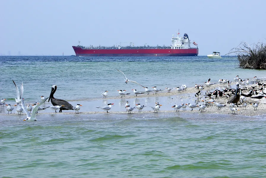 Tanker Ship in Tampa Bay