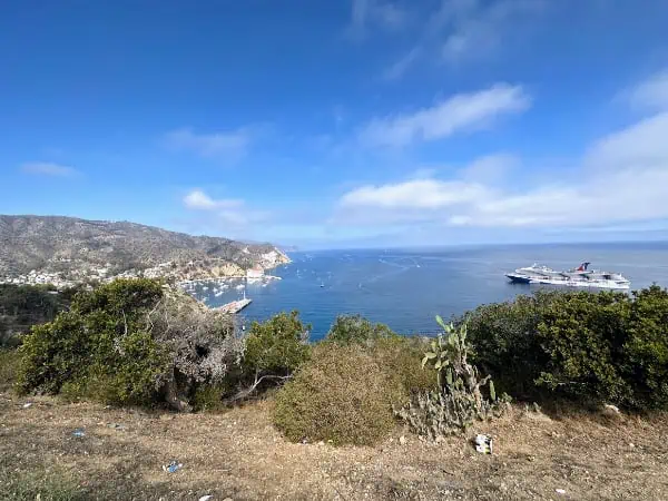 beautiful scenery at Catalina Island