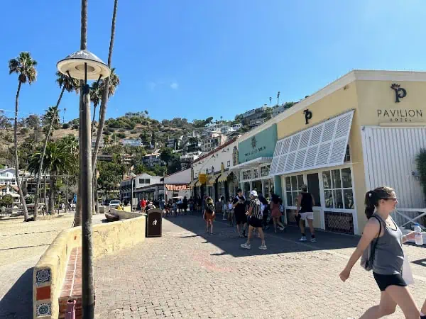 walking around Avalon