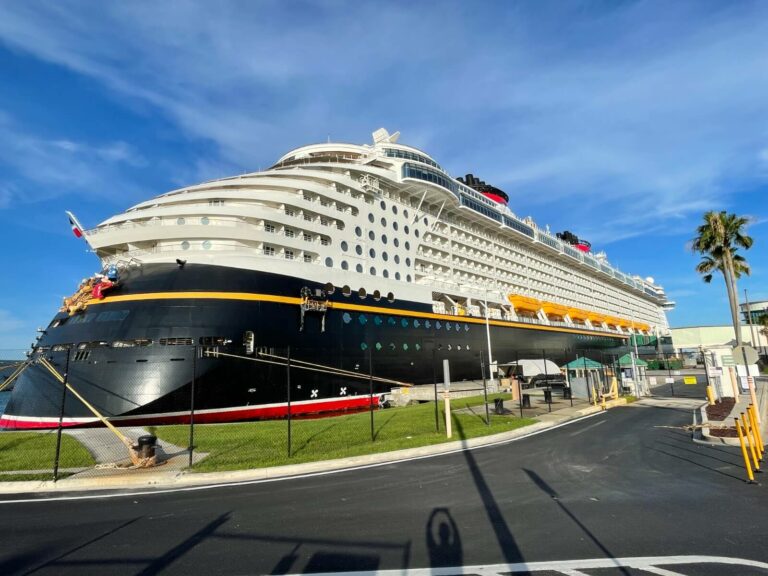 A large Disney cruise ship docked at a port under a clear blue sky, with a surrounding fence and a palm tree nearby.