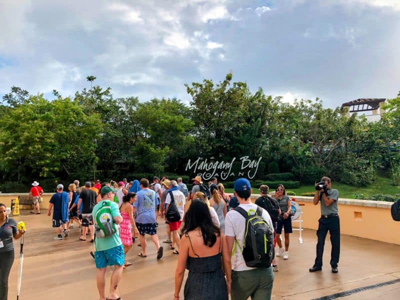 Mahogany Bay, cruise passengers, shore excursion