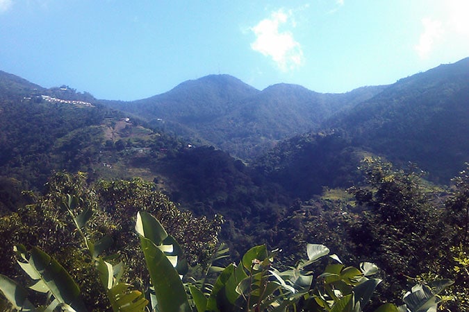 Blue mountain peak Jamaica