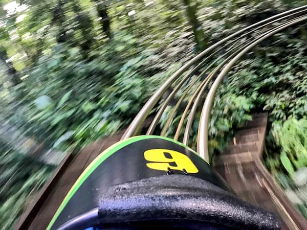 jamacia bob sled run