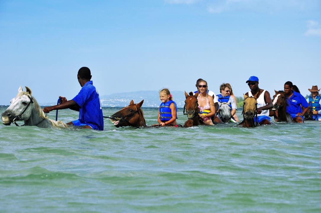 Horseback riding and swim Jamaica 