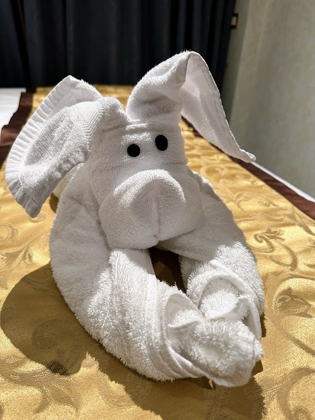 stateroom towel animal carnival venezia