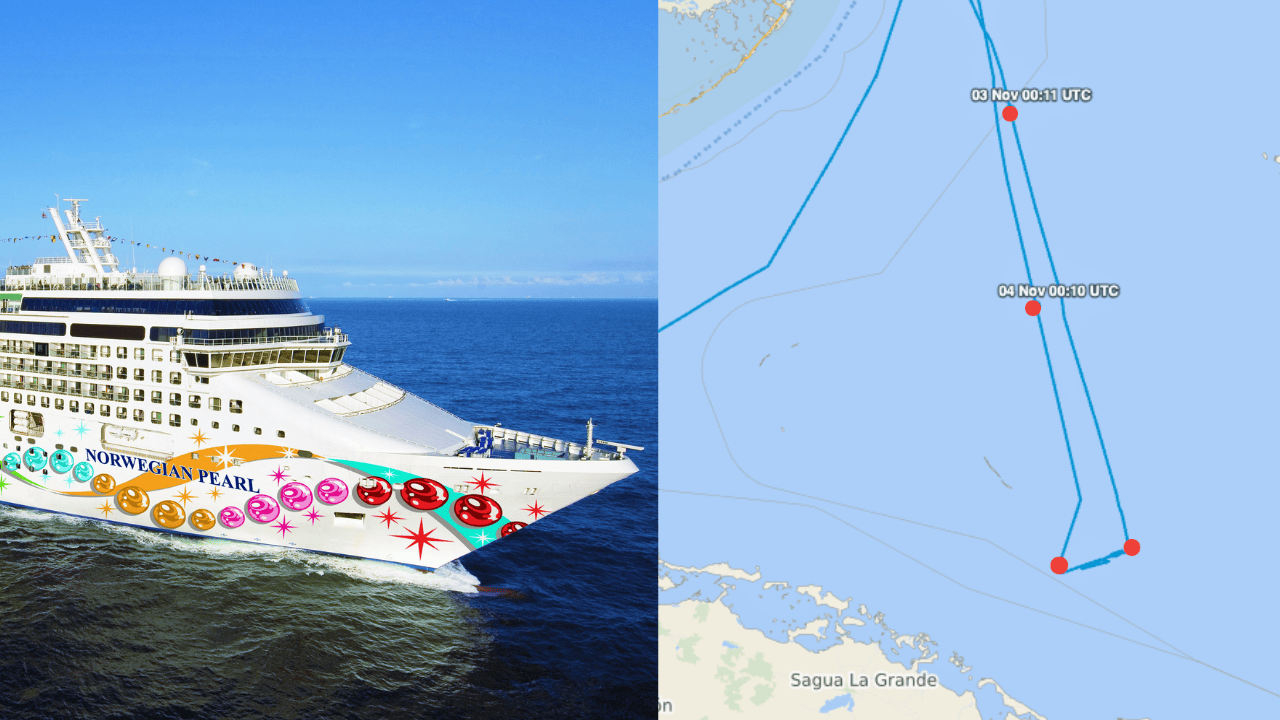 Norwegian Pearl searching for man overboard