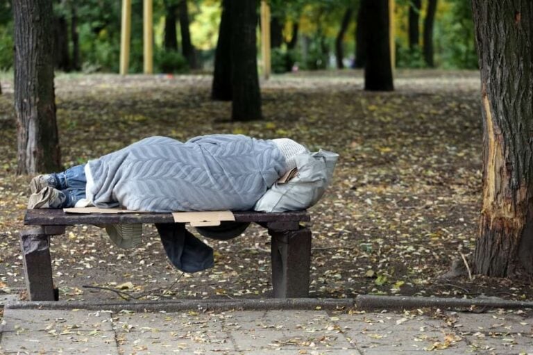 A person sleeping on a bench in a park.