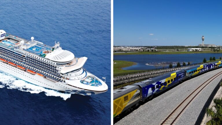 Cruise ship from Princess Cruises sailing on the ocean next to a railroad in Florida with a train service passing by near a body of water.