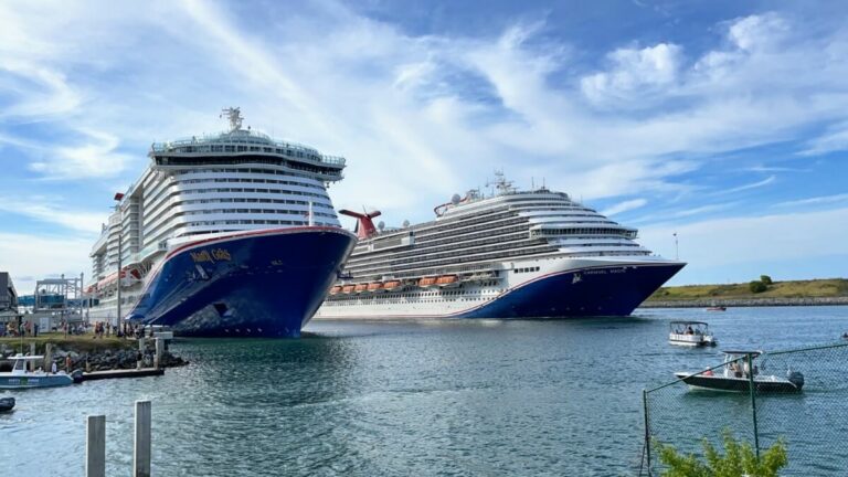 Two large cruise ships are docked at a port under a blue sky with light clouds. A small boat is on the water near the ships.
