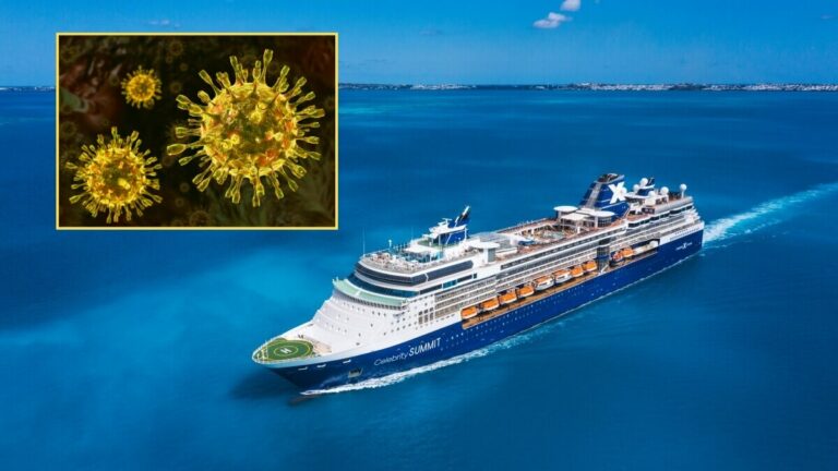 A large cruise ship, the Celebrity Summit, sails on the ocean. An inset image shows magnified virus particles, hinting at a Norovirus outbreak.