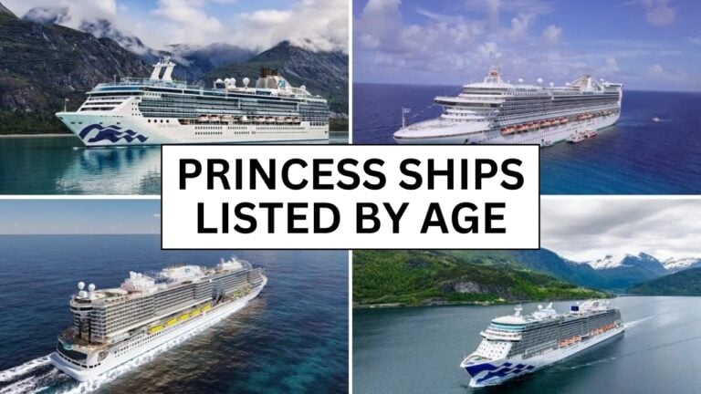 Four images of Princess cruise ships are shown, each sailing against scenic backgrounds. The text in the center reads, "PRINCESS SHIPS LISTED BY SIZE AND AGE.