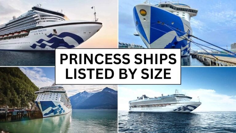 Collage of four cruise ships with the Princess Cruises logo. Central text reads "PRINCESS SHIPS LISTED BY SIZE." Each image showcases a ship from smallest to largest at different angles against scenic backdrops of water and sky.