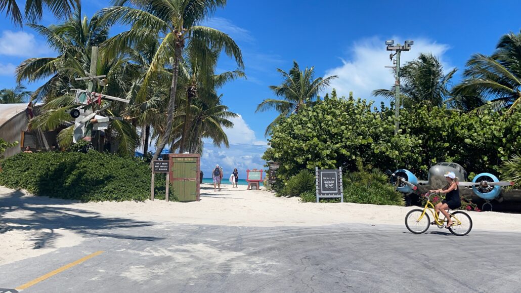 A coastal bike path lined with palm trees leads to a sandy beach, where two small aircraft are mounted on poles nearby. Several people can be seen walking in the distance towards the beach under a clear blue sky, perhaps dreaming of their next Disney Fantasy Cruise adventure.