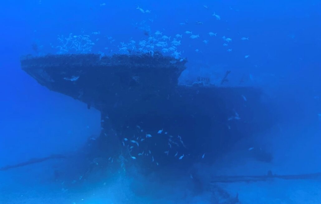 Amidst the tranquil blue ocean, a century-old WWI shipwreck lies encrusted with vibrant marine life. Fish glide gracefully around the relic, creating a mysterious tableau on the sea floor, perfect for an adventurous cruise expedition.