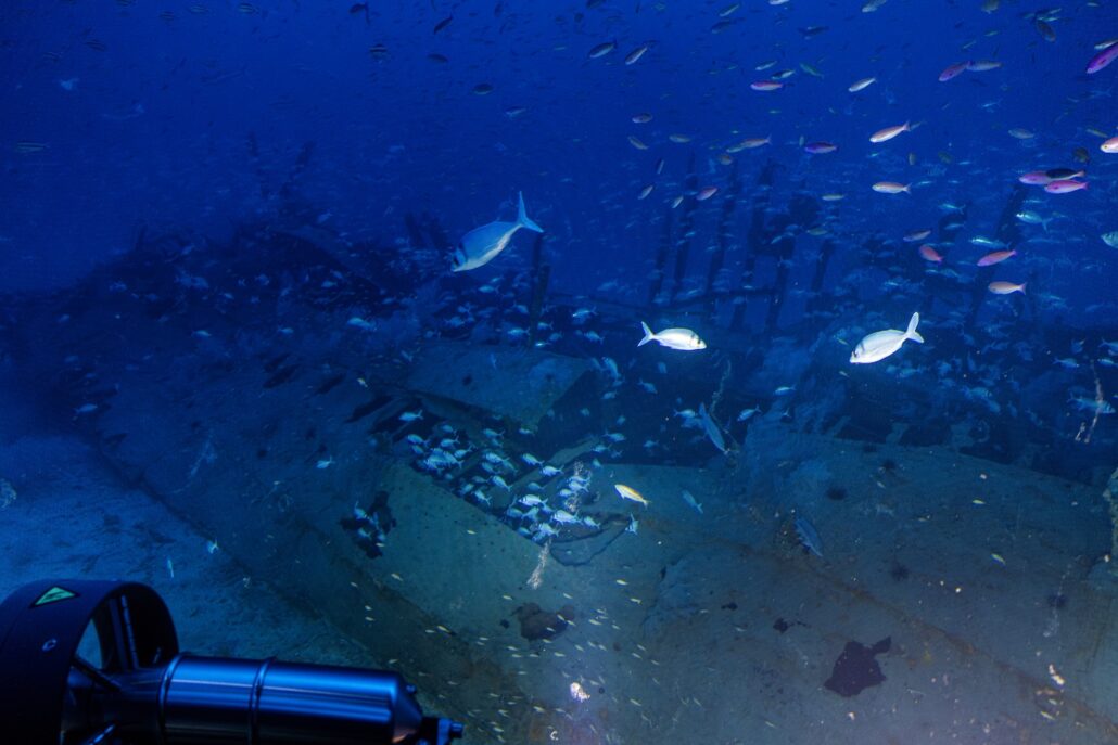 In an underwater scene, a century-old shipwreck from a WWI ship rests on the ocean floor, surrounded by various fish swimming. A piece of equipment from this cruise expedition is visible in the foreground, partially illuminated by the deep blue light of the water.