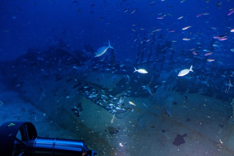 In an underwater scene, a century-old shipwreck from a WWI ship rests on the ocean floor, surrounded by various fish swimming. A piece of equipment from this cruise expedition is visible in the foreground, partially illuminated by the deep blue light of the water.