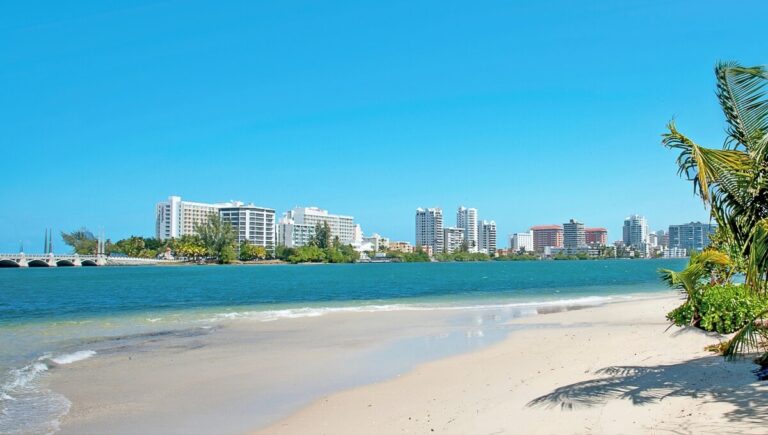 A sunny beach scene with clear blue skies, sandy shores, and gentle waves. Palm trees are on the right, while a cityscape with tall buildings and a bridge is visible across the water. In the distance, large ships make port calls to Puerto Rico, adding a touch of maritime charm.