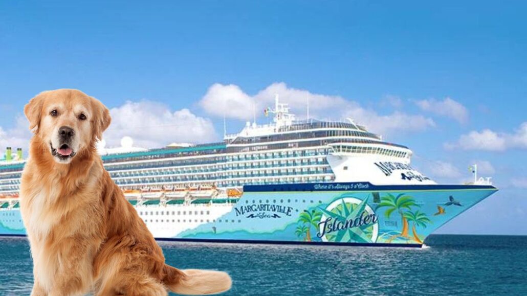 A large golden retriever sits proudly in front of the Margaritaville Islander, a dog-friendly cruise ship adorned with tropical designs like palm trees and a radiant sun. The clear sky dotted with clouds adds to the idyllic scene, making it a perfect Margaritaville at Sea experience.