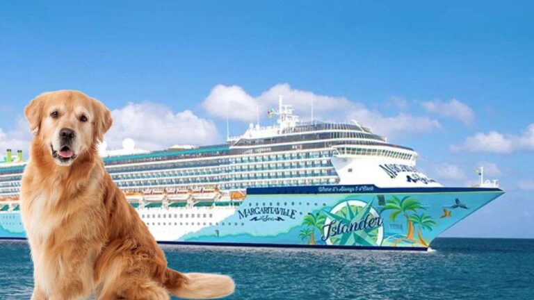 A large golden retriever sits proudly in front of the Margaritaville Islander, a dog-friendly cruise ship adorned with tropical designs like palm trees and a radiant sun. The clear sky dotted with clouds adds to the idyllic scene, making it a perfect Margaritaville at Sea experience.