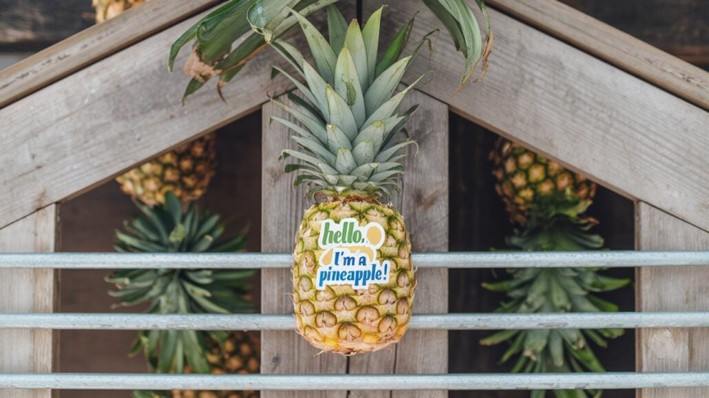 A pineapple with a sticker reading "hello, I'm a pineapple!" rests on a horizontal metal bar. In the background, cabin doors accentuate a wooden structure adorned with upside-down pineapples hanging inside.