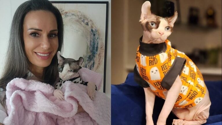 The image is split into two parts. On the left, a woman holds a celebrity Sphynx cat wrapped in a pink blanket. On the right, the same cat wears an orange Halloween-themed outfit with "BOO" and ghost images.