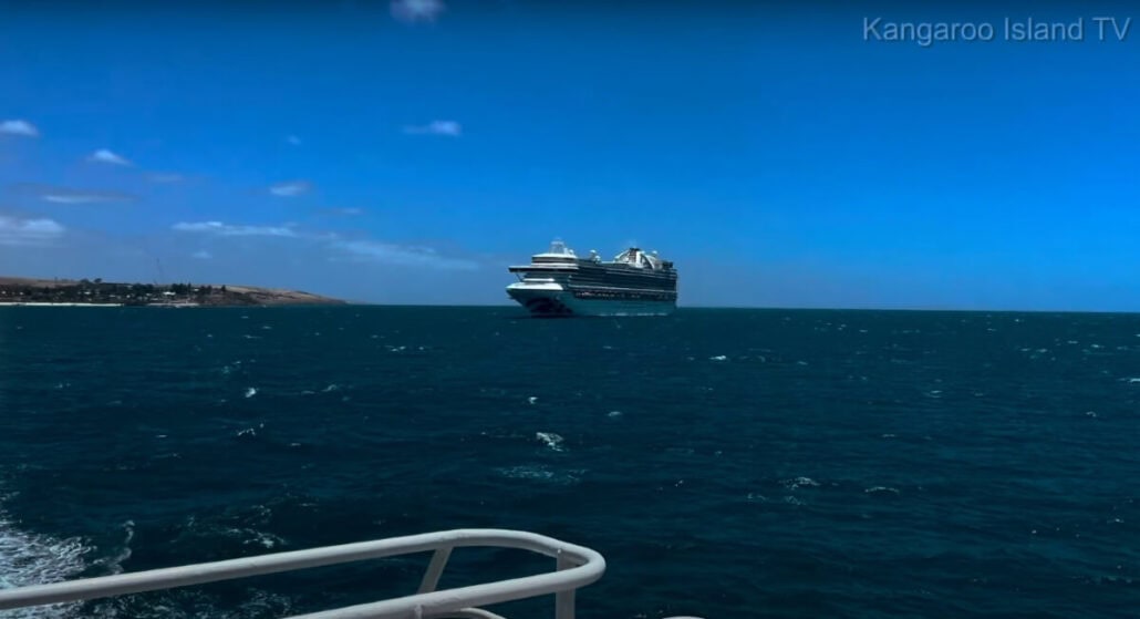 A large cruise ship, carrying eager passengers, sails on the deep blue ocean under a bright blue sky with scattered clouds. A landmass is visible on the left horizon, and part of a boat railing can be seen in the bottom foreground.