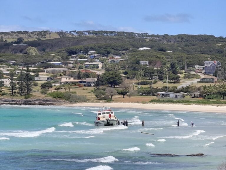 A small tender boat has run aground near the shore, with several passengers wading in the shallow water surrounding it. The backdrop features a coastal town with houses and greenery, all under a clear blue sky.