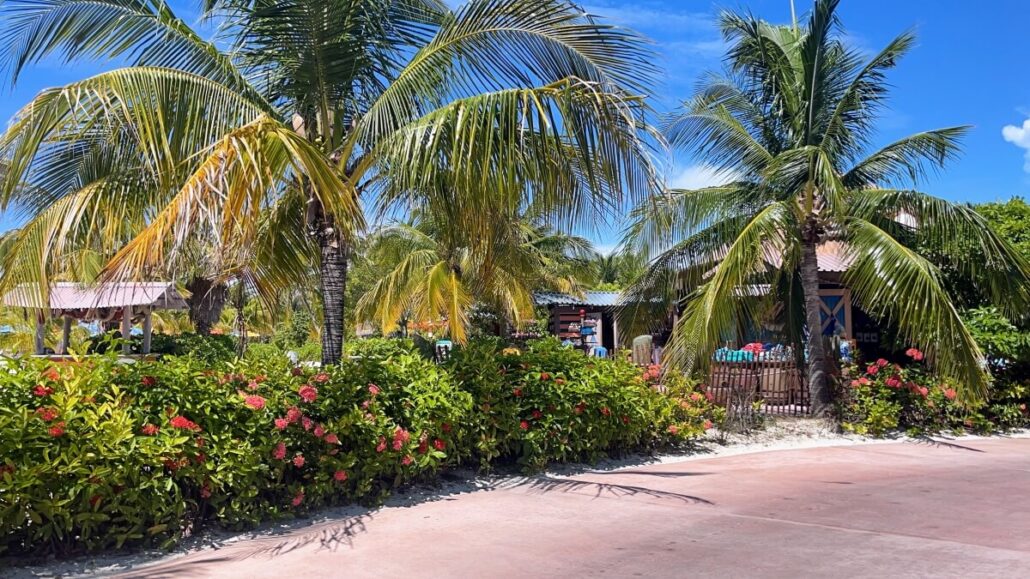 A scenic view of Castaway Cay reveals tropical palm trees and lush greenery dotted with pink flowers. A small wooden structure peeks out in the background under a clear blue sky, while a paved path gracefully winds through the foreground.