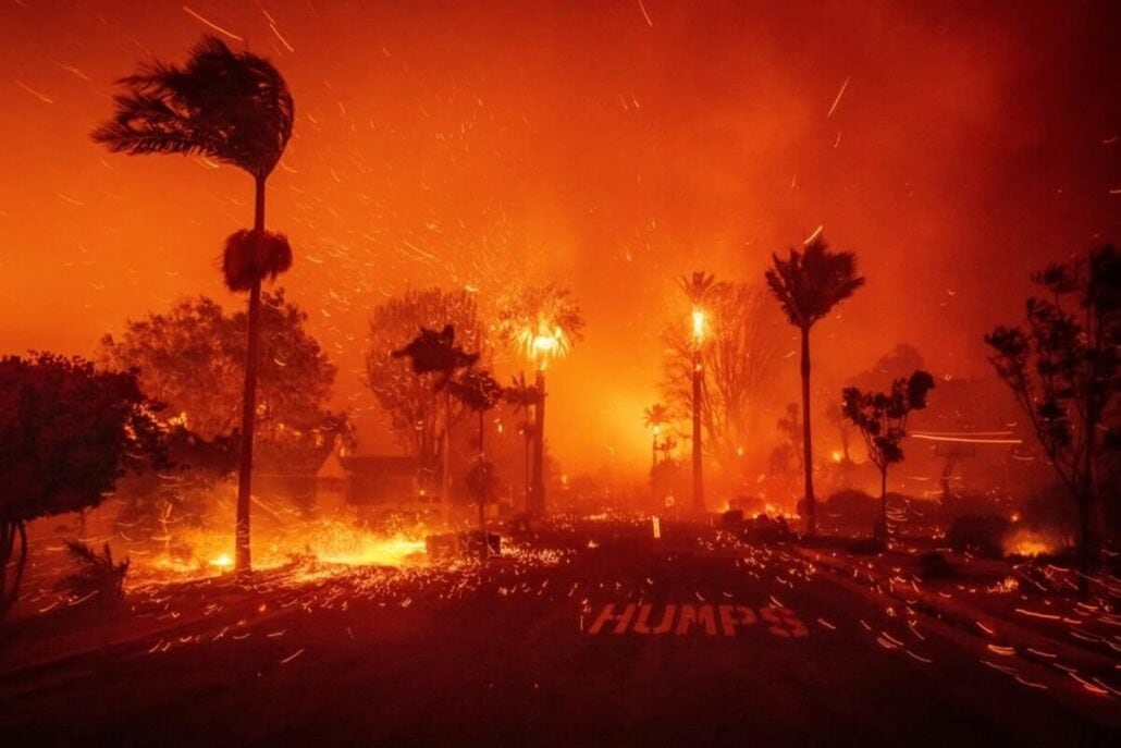 A wildfire rages intensely, engulfing trees and foliage as LA residents brace for impact. The sky is filled with smoke and embers, strong winds bend the palm trees. Debris scatters the ground near a road sign reading "HUMPS," vividly illuminated by the fire’s glow.