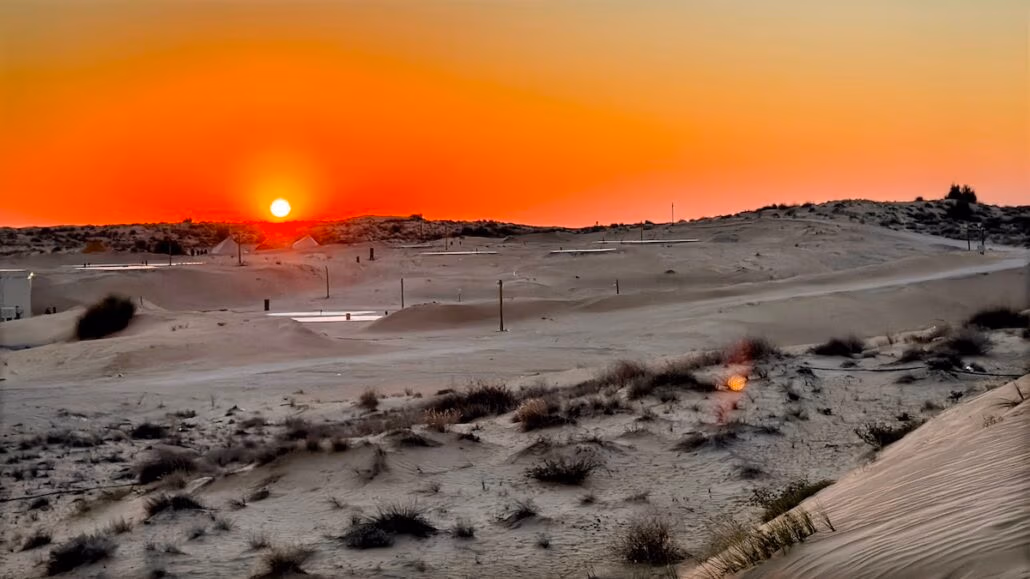 As the sun sets over the sandy dunes, casting an orange glow across the sky, the scene resembles a Celestyal Journey. Dark silhouettes of sparse vegetation dot the landscape, while a mix of sand and scattered plants fills the foreground. The bright sky contrasts with dimmer dunes beautifully.