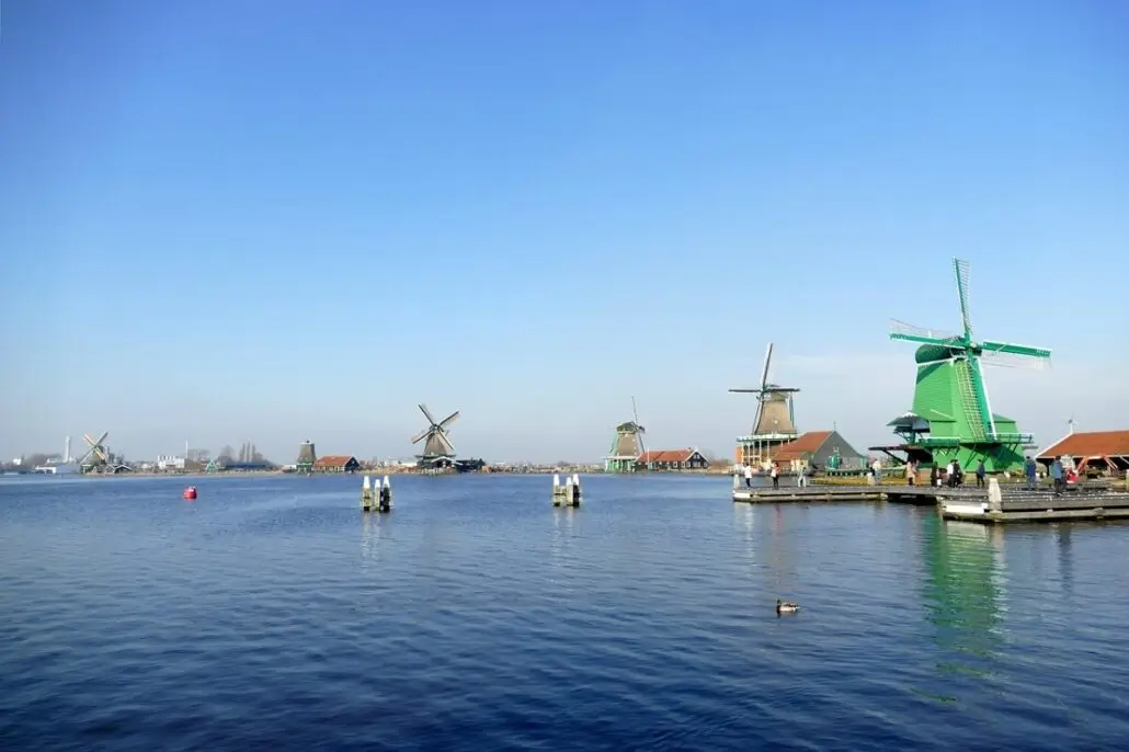 A scenic view of a body of water with several traditional Dutch windmills on a clear day awaits cruise passengers. The foreground features calm waters where a single bird floats, while the backdrop showcases iconic windmills and a clear blue sky, perfect for memorable Amsterdam shore excursions.