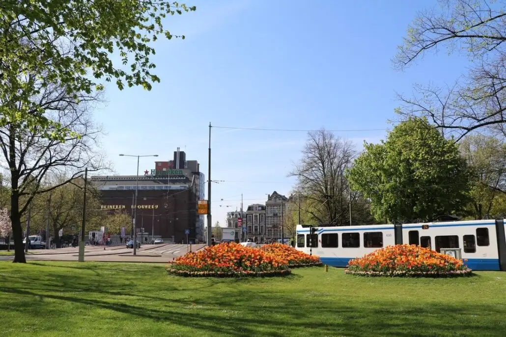 A city scene featuring a tram on its tracks beside a grassy area with flowerbeds of orange and yellow flowers invites cruise passengers to explore. Trees with sparse leaves are in the background, and buildings are visible under the clear blue sky—perfect for Amsterdam shore excursions.