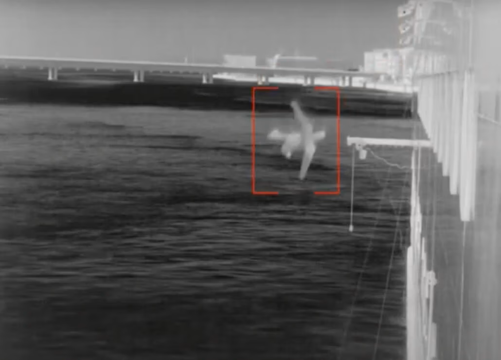 An infrared image of a waterway features a bridge in the background. At its center, an AI-enhanced highlighted area captures a blurry object above the water, circled by a red box. Buildings and a wall appear on the right side, possibly suggesting man overboard detection in action.