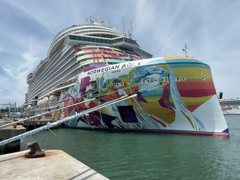 The Norwegian Aqua, a large cruise ship with a colorful mural on its bow, is docked at Port Canaveral, secured by ropes, with another cruise ship visible in the background.